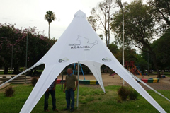 Image description