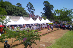 Image description